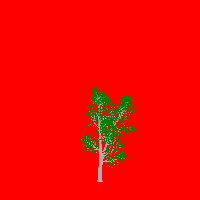 greenshift tree