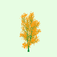 greenshift tree