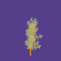 greenshift tree