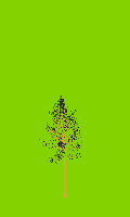 greenshift tree