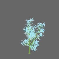 greenshift tree