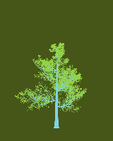 greenshift tree