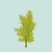 greenshift tree