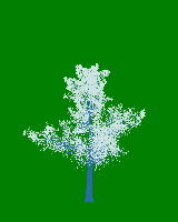 greenshift tree