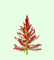 greenshift tree