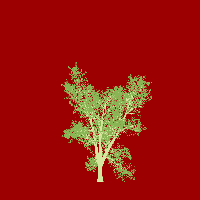 greenshift tree