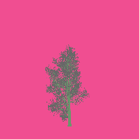 greenshift tree