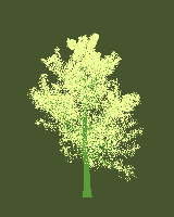 greenshift tree