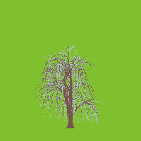greenshift tree