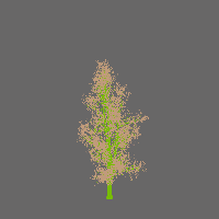 greenshift tree
