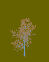 greenshift tree