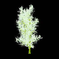 greenshift tree