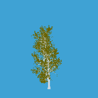 greenshift tree