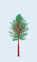 greenshift tree