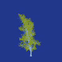 greenshift tree
