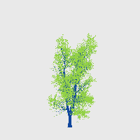 greenshift tree