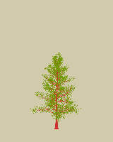 greenshift tree