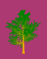 greenshift tree