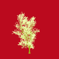 greenshift tree