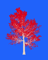 greenshift tree