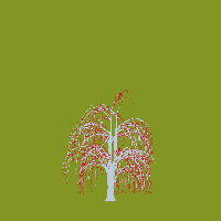 greenshift tree