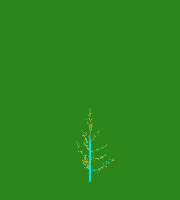 greenshift tree