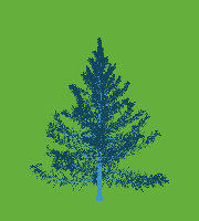 greenshift tree
