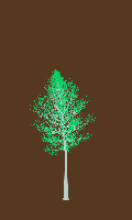 greenshift tree