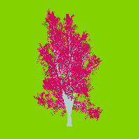 greenshift tree