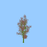 greenshift tree