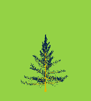 greenshift tree
