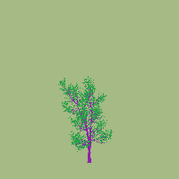 greenshift tree
