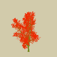 greenshift tree