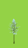 greenshift tree