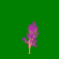 greenshift tree