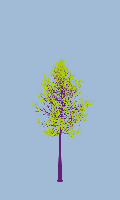 greenshift tree