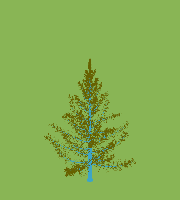 greenshift tree