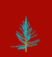 greenshift tree