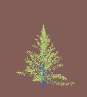 greenshift tree