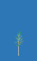 greenshift tree