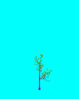 greenshift tree