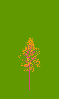 greenshift tree