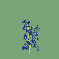 greenshift tree