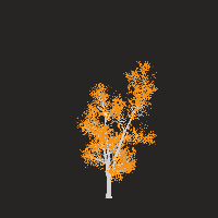 greenshift tree