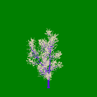greenshift tree