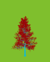 greenshift tree