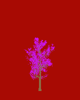 greenshift tree