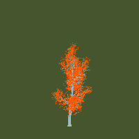 greenshift tree
