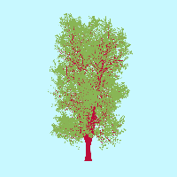 greenshift tree