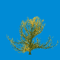 greenshift tree
